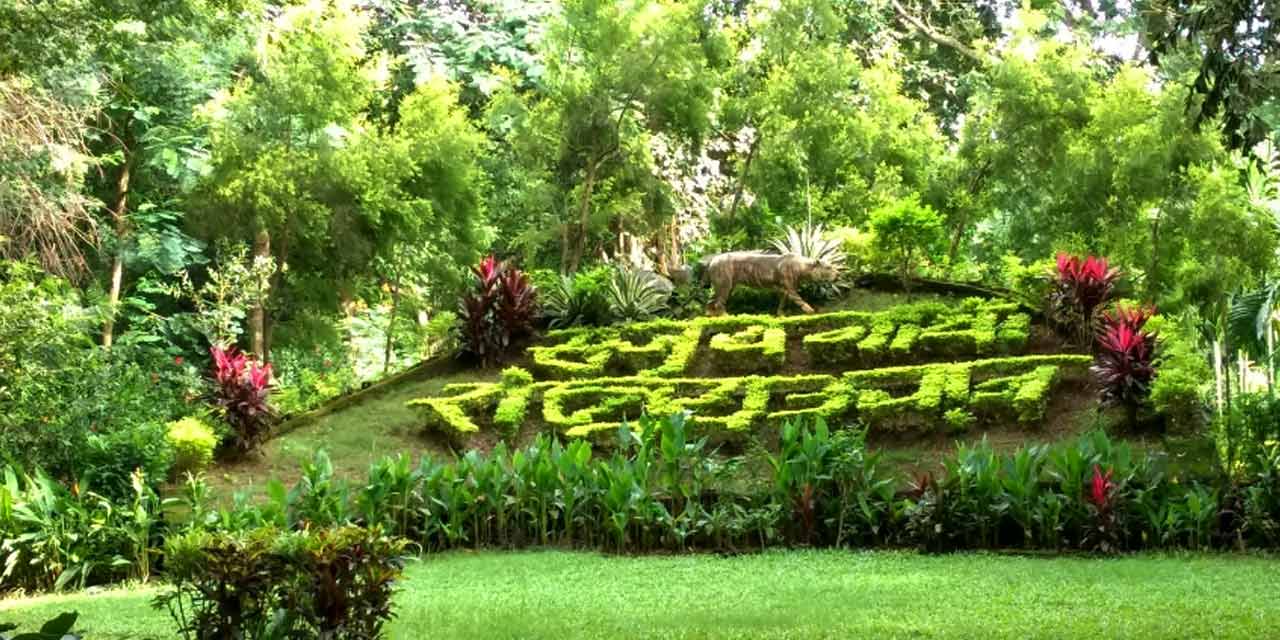 https://mdw-travel-data-us-east-1.s3.amazonaws.com/img/country/India/Sanjay-Gandhi-National-Park/img_02.jpg