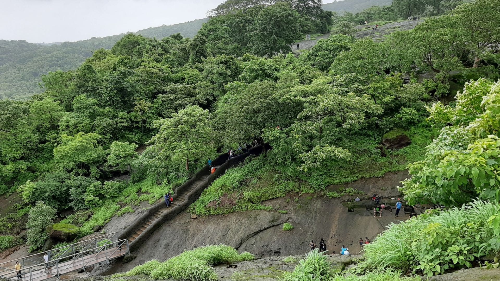 https://mdw-travel-data-us-east-1.s3.amazonaws.com/img/country/India/Sanjay-Gandhi-National-Park/img_03.jpg