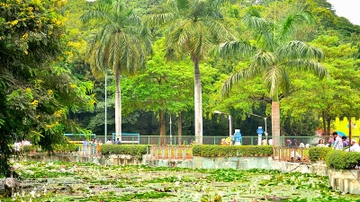 https://mdw-travel-data-us-east-1.s3.amazonaws.com/img/country/India/Saras-Baug/img_03.jpg