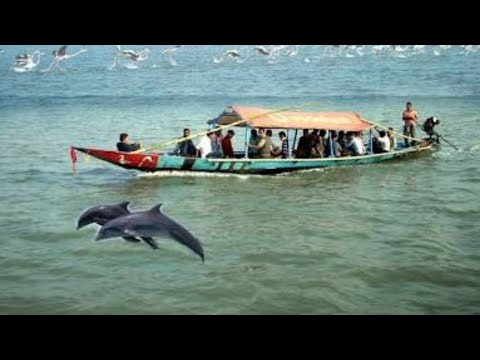 https://mdw-travel-data-us-east-1.s3.amazonaws.com/img/country/India/Satapada-Dolphin-Sanctuary/img_03.jpg