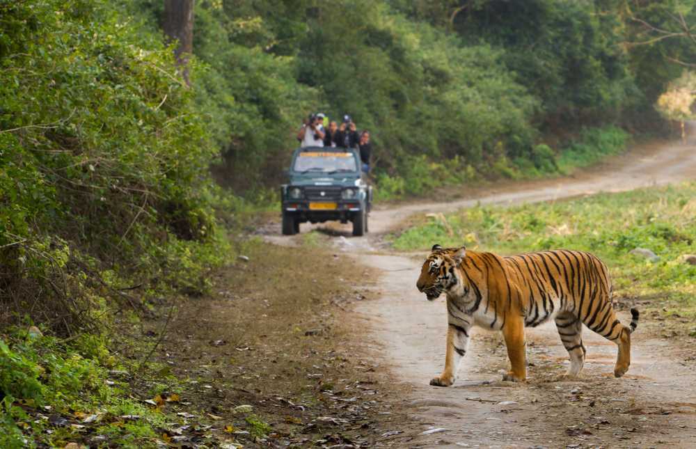 https://mdw-travel-data-us-east-1.s3.amazonaws.com/img/country/India/Satkosia-Tiger-Reserve/img_03.jpg