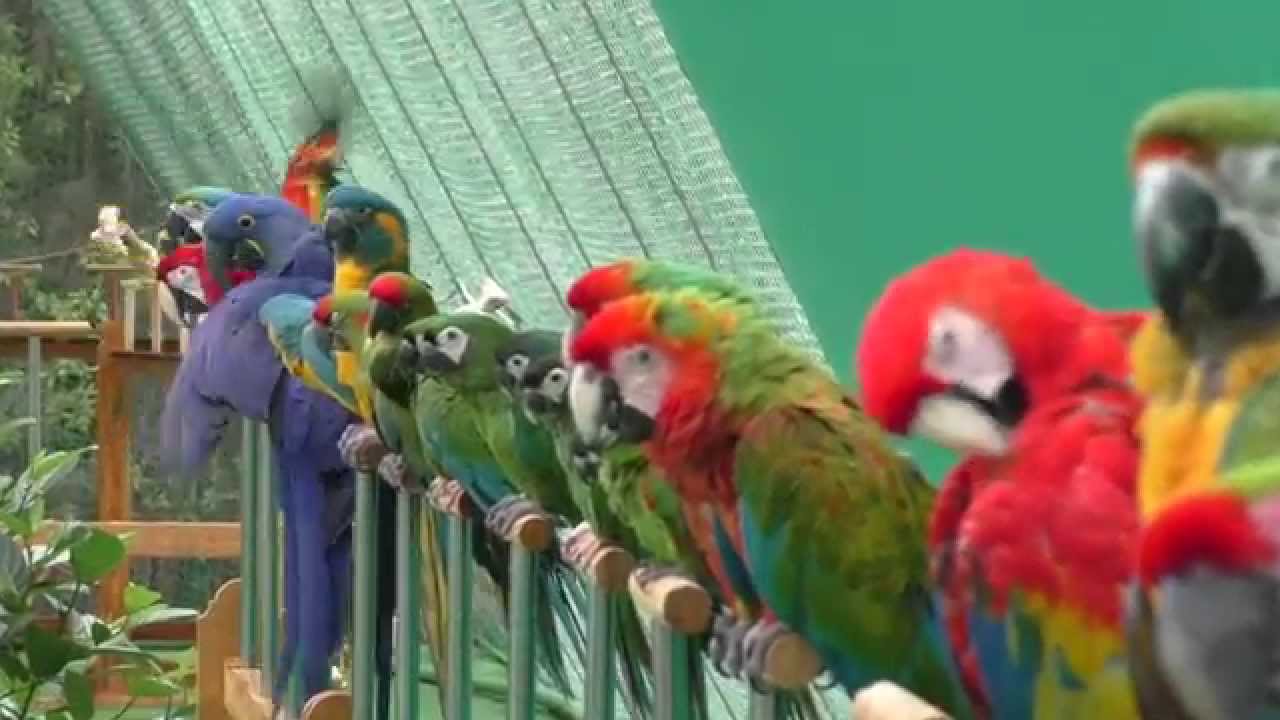 https://mdw-travel-data-us-east-1.s3.amazonaws.com/img/country/India/Shuka-Vana/img_01.jpg