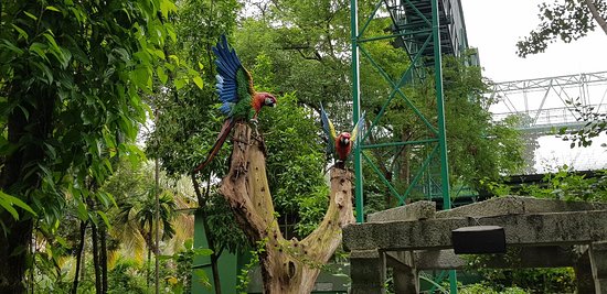 https://mdw-travel-data-us-east-1.s3.amazonaws.com/img/country/India/Shuka-Vana/img_02.jpg