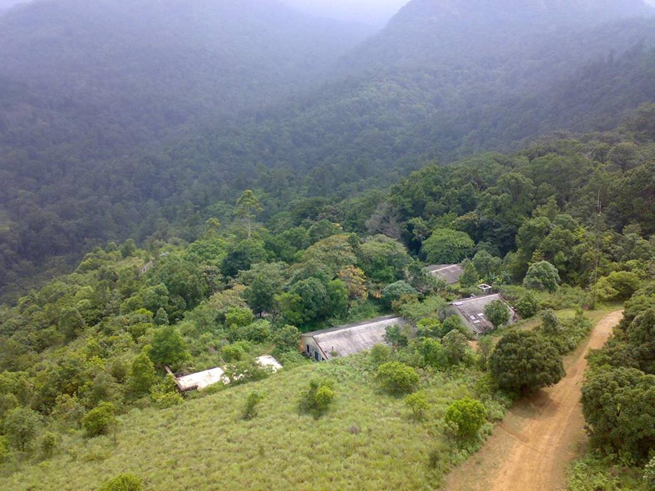 https://mdw-travel-data-us-east-1.s3.amazonaws.com/img/country/India/Silent-Valley-National-Park/img_01.jpg