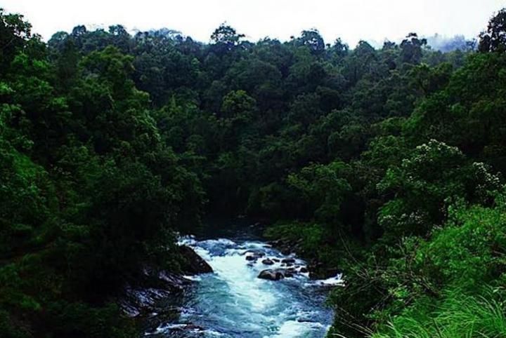 https://mdw-travel-data-us-east-1.s3.amazonaws.com/img/country/India/Silent-Valley-National-Park/img_02.jpg