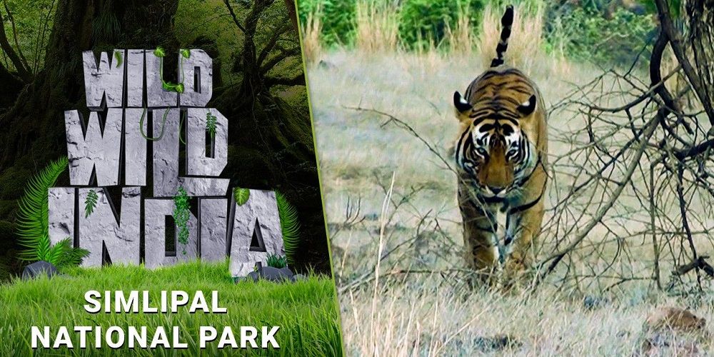 https://mdw-travel-data-us-east-1.s3.amazonaws.com/img/country/India/Simlipal-National-Park/img_02.jpg