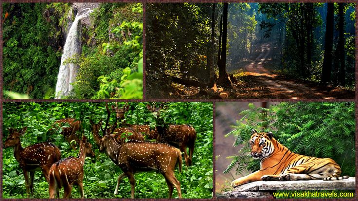 https://mdw-travel-data-us-east-1.s3.amazonaws.com/img/country/India/Simlipal-National-Park/img_03.jpg