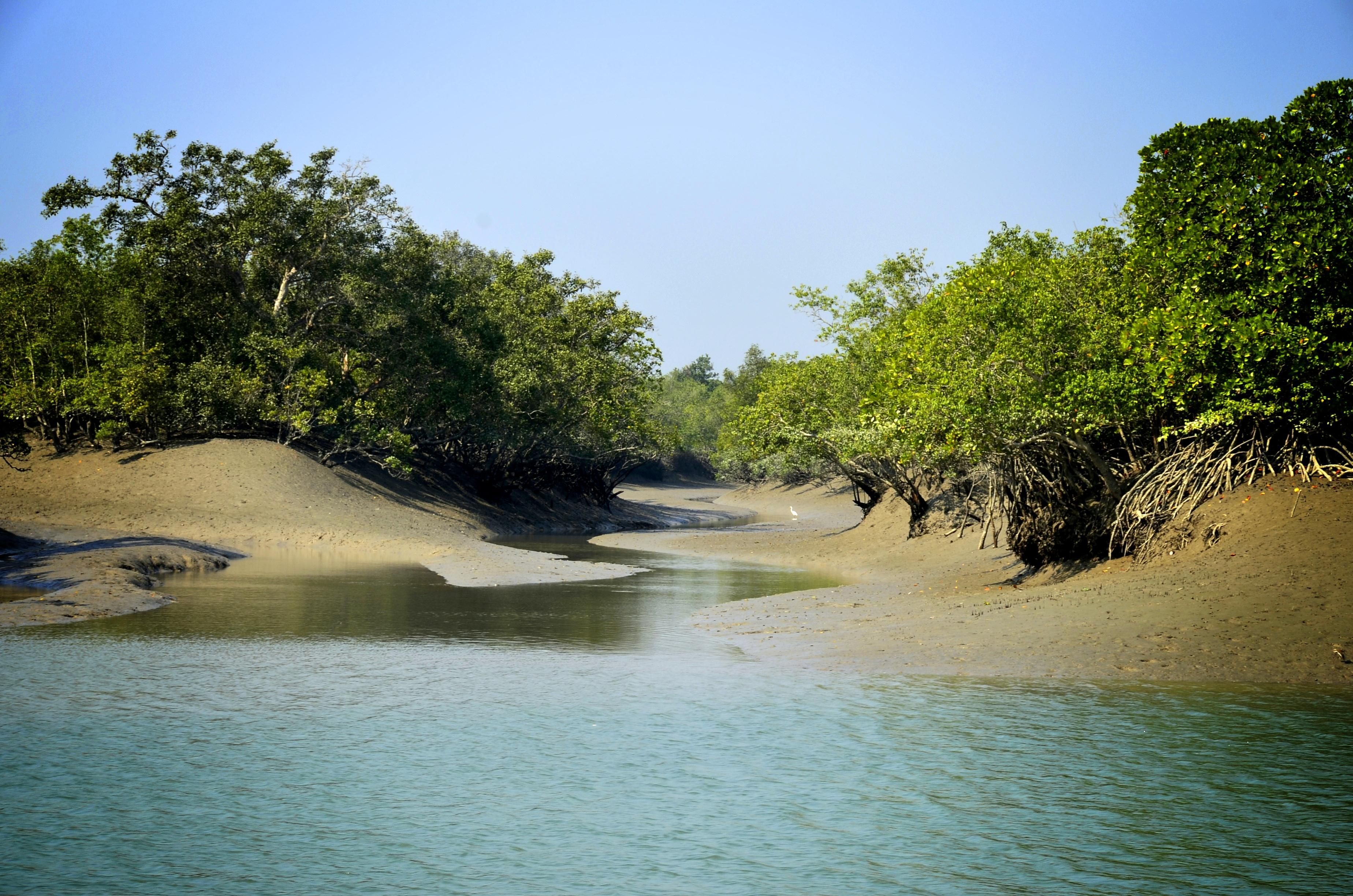 https://mdw-travel-data-us-east-1.s3.amazonaws.com/img/country/India/Sundarbans-National-Park/img_01.jpg