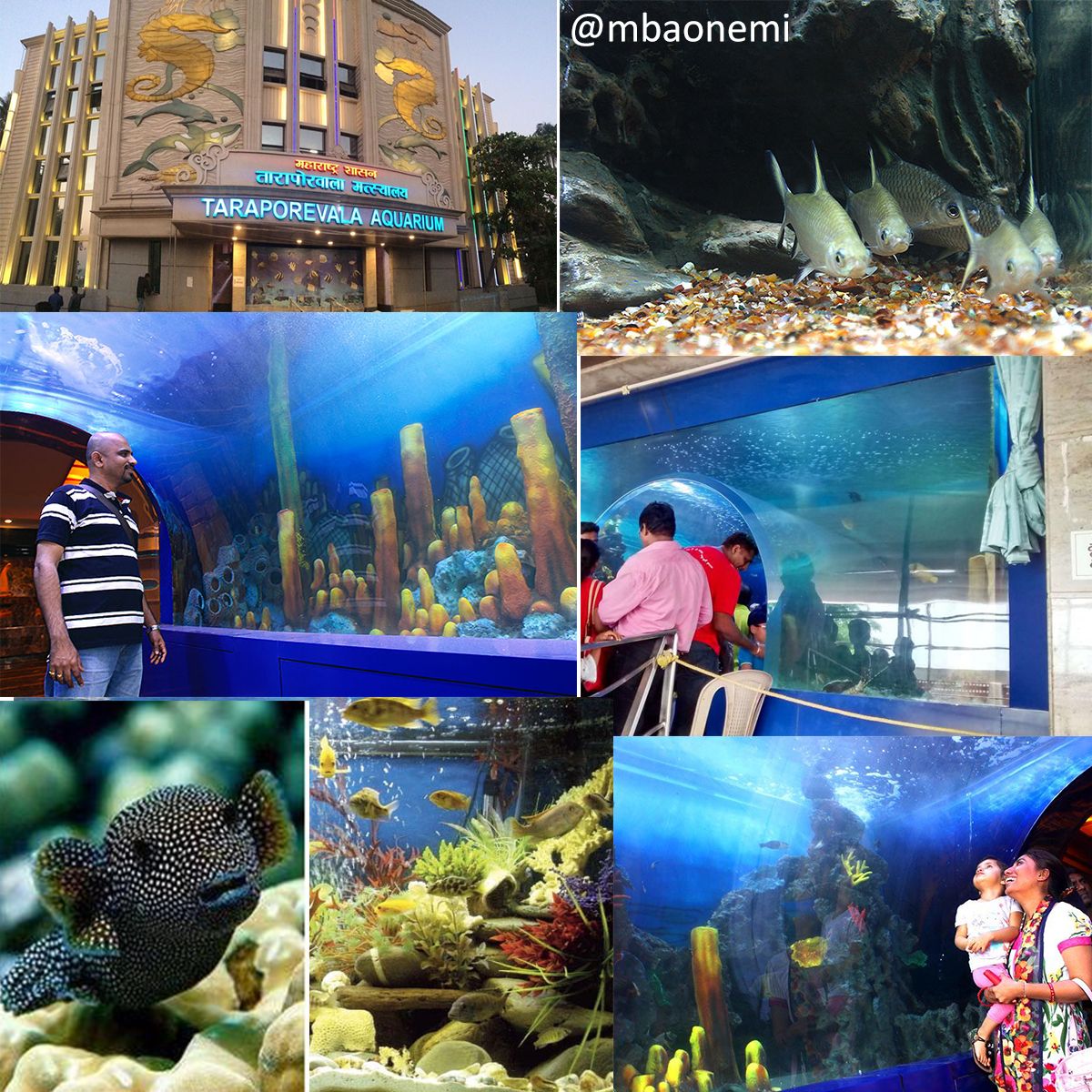 https://mdw-travel-data-us-east-1.s3.amazonaws.com/img/country/India/Taraporewala-Aquarium/img_03.jpg
