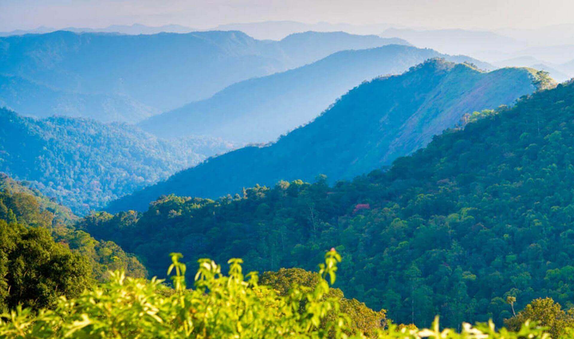 https://mdw-travel-data-us-east-1.s3.amazonaws.com/img/country/India/Thekkady/img_02.jpg