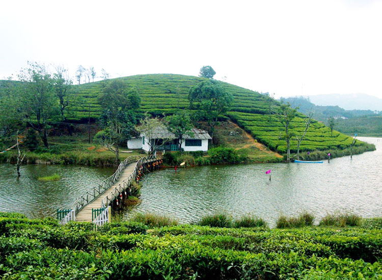 https://mdw-travel-data-us-east-1.s3.amazonaws.com/img/country/India/Vagamon/img_03.jpg