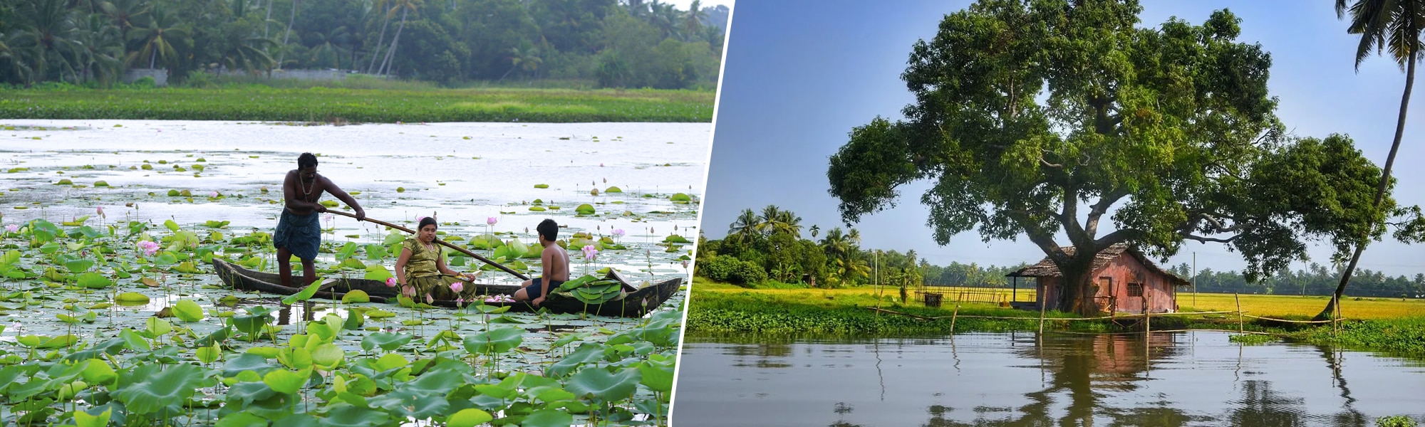 https://mdw-travel-data-us-east-1.s3.amazonaws.com/img/country/India/Vellayani-Lake/img_01.jpg