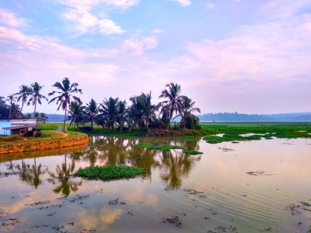 https://mdw-travel-data-us-east-1.s3.amazonaws.com/img/country/India/Vellayani-Lake/img_03.jpg