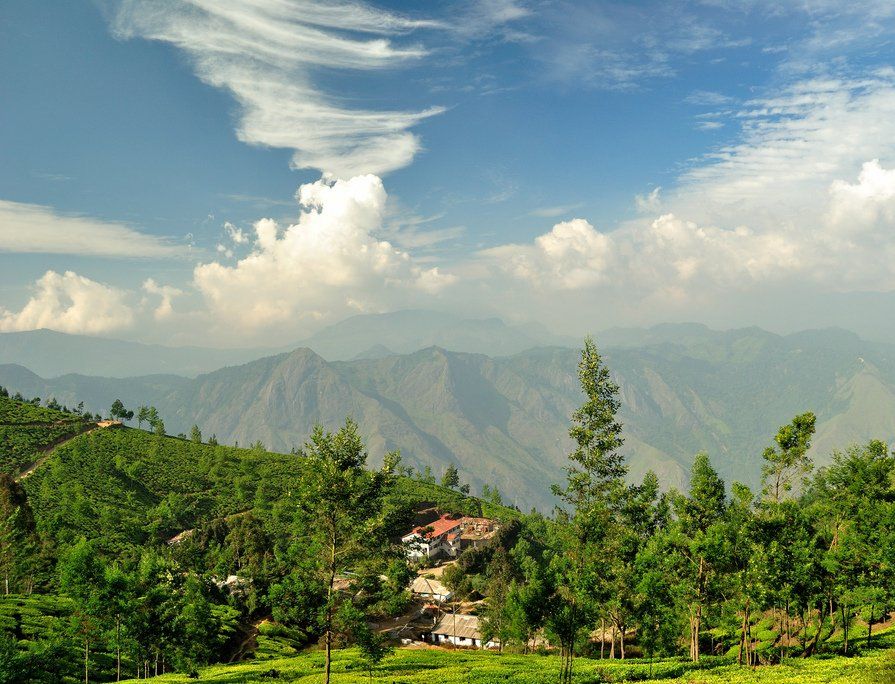 https://mdw-travel-data-us-east-1.s3.amazonaws.com/img/country/India/Vikram-Tea-Estate/img_01.jpg