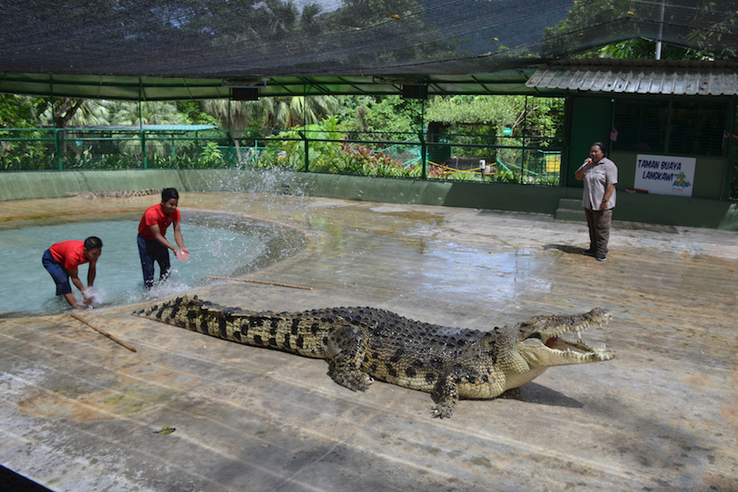 https://mdw-travel-data-us-east-1.s3.amazonaws.com/img/country/India/Wildlife-and-Crocodile-Park/img_03.jpg