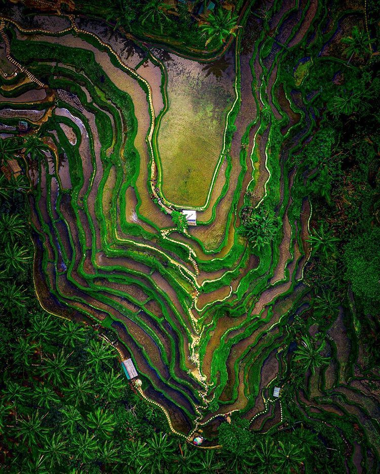 https://mdw-travel-data-us-east-1.s3.amazonaws.com/img/country/Indonesia/BNS-Eco-Terrace/img_02.jpg
