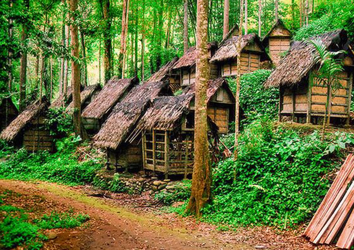https://mdw-travel-data-us-east-1.s3.amazonaws.com/img/country/Indonesia/Baduy-Dalam/img_02.jpg