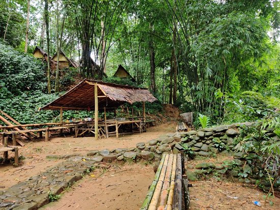 https://mdw-travel-data-us-east-1.s3.amazonaws.com/img/country/Indonesia/Baduy-Dalam/img_03.jpg