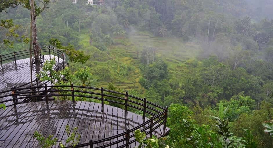https://mdw-travel-data-us-east-1.s3.amazonaws.com/img/country/Indonesia/Bali-Agrotourism-Coffee-Plantation/img_01.jpg
