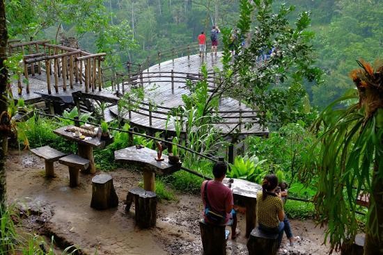 https://mdw-travel-data-us-east-1.s3.amazonaws.com/img/country/Indonesia/Bali-Agrotourism-Coffee-Plantation/img_02.jpg