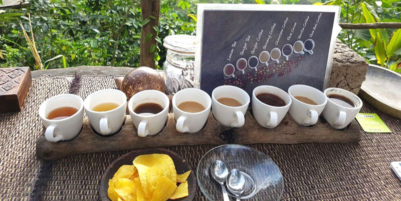 https://mdw-travel-data-us-east-1.s3.amazonaws.com/img/country/Indonesia/Bali-Agrotourism-Coffee-Plantation/img_03.jpg