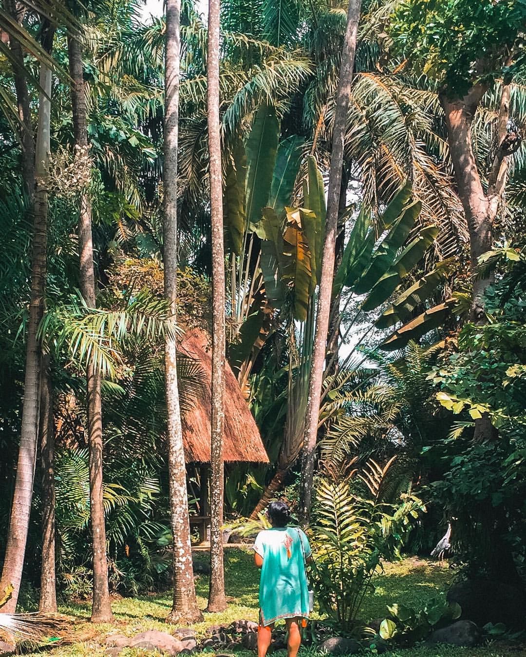 https://mdw-travel-data-us-east-1.s3.amazonaws.com/img/country/Indonesia/Bali-Bird-Park/img_01.jpg