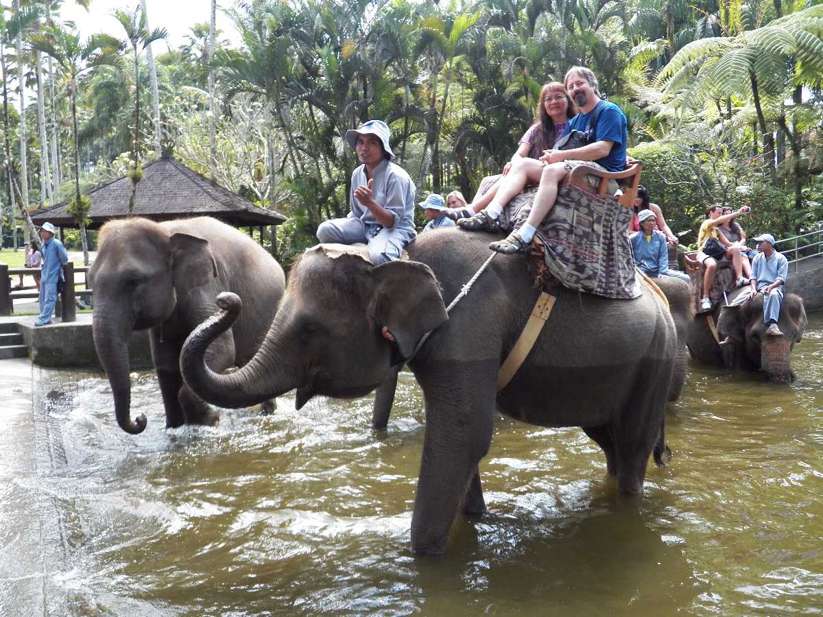 https://mdw-travel-data-us-east-1.s3.amazonaws.com/img/country/Indonesia/Bali-Elephants-Safari-Park/img_01.jpg