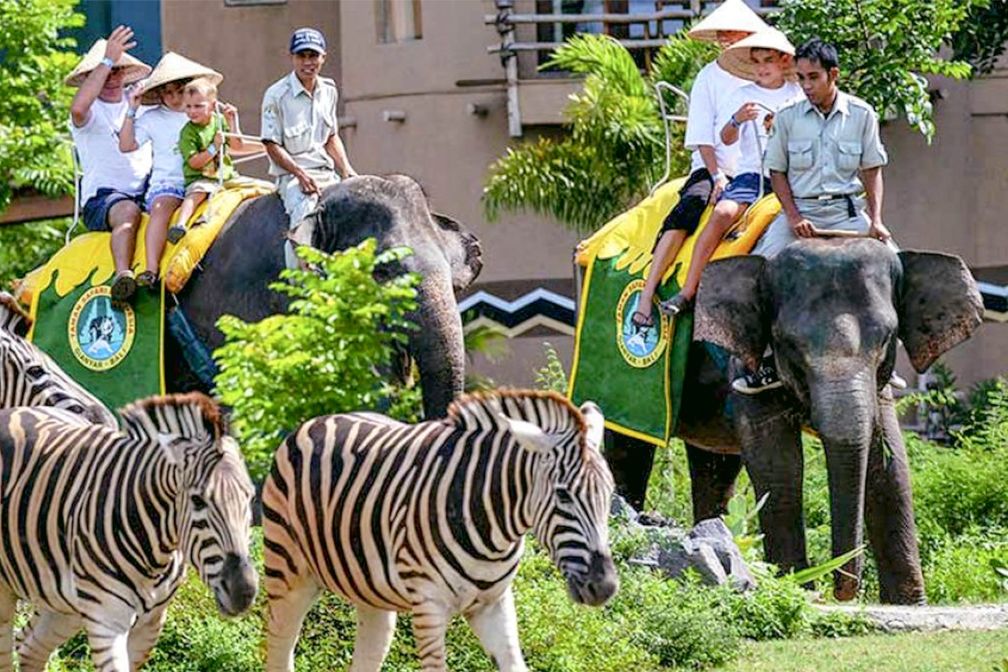 https://mdw-travel-data-us-east-1.s3.amazonaws.com/img/country/Indonesia/Bali-Marine-and-Safari-Park/img_02.jpg