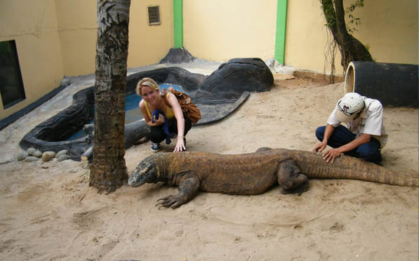 https://mdw-travel-data-us-east-1.s3.amazonaws.com/img/country/Indonesia/Bali-Reptile-Park/img_01.jpg