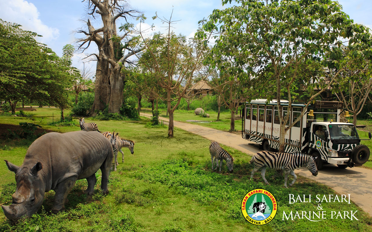 https://mdw-travel-data-us-east-1.s3.amazonaws.com/img/country/Indonesia/Bali-Safari-and-Marine-Park/img_01.jpg