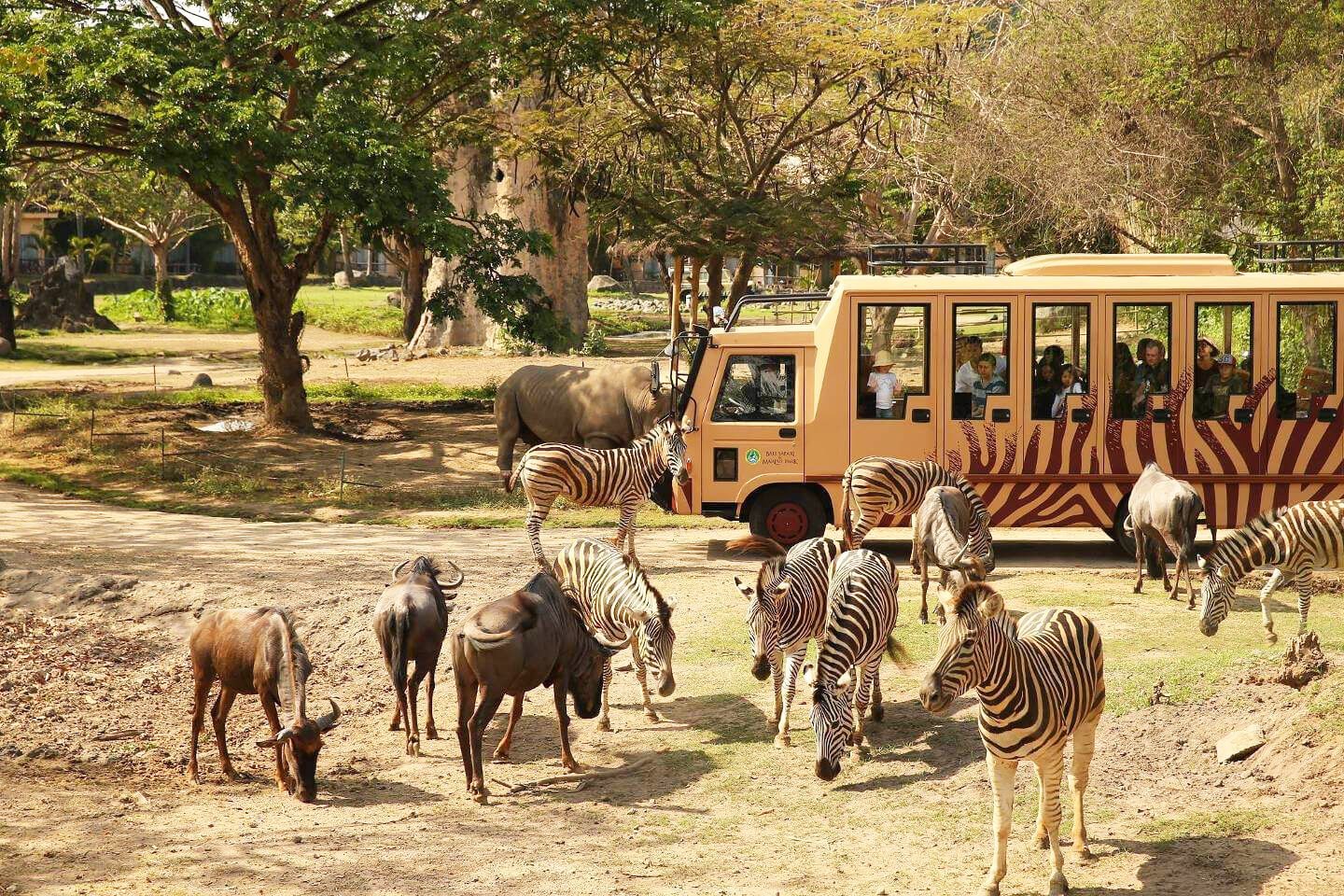 https://mdw-travel-data-us-east-1.s3.amazonaws.com/img/country/Indonesia/Bali-Safari-and-Marine-Park/img_02.jpg