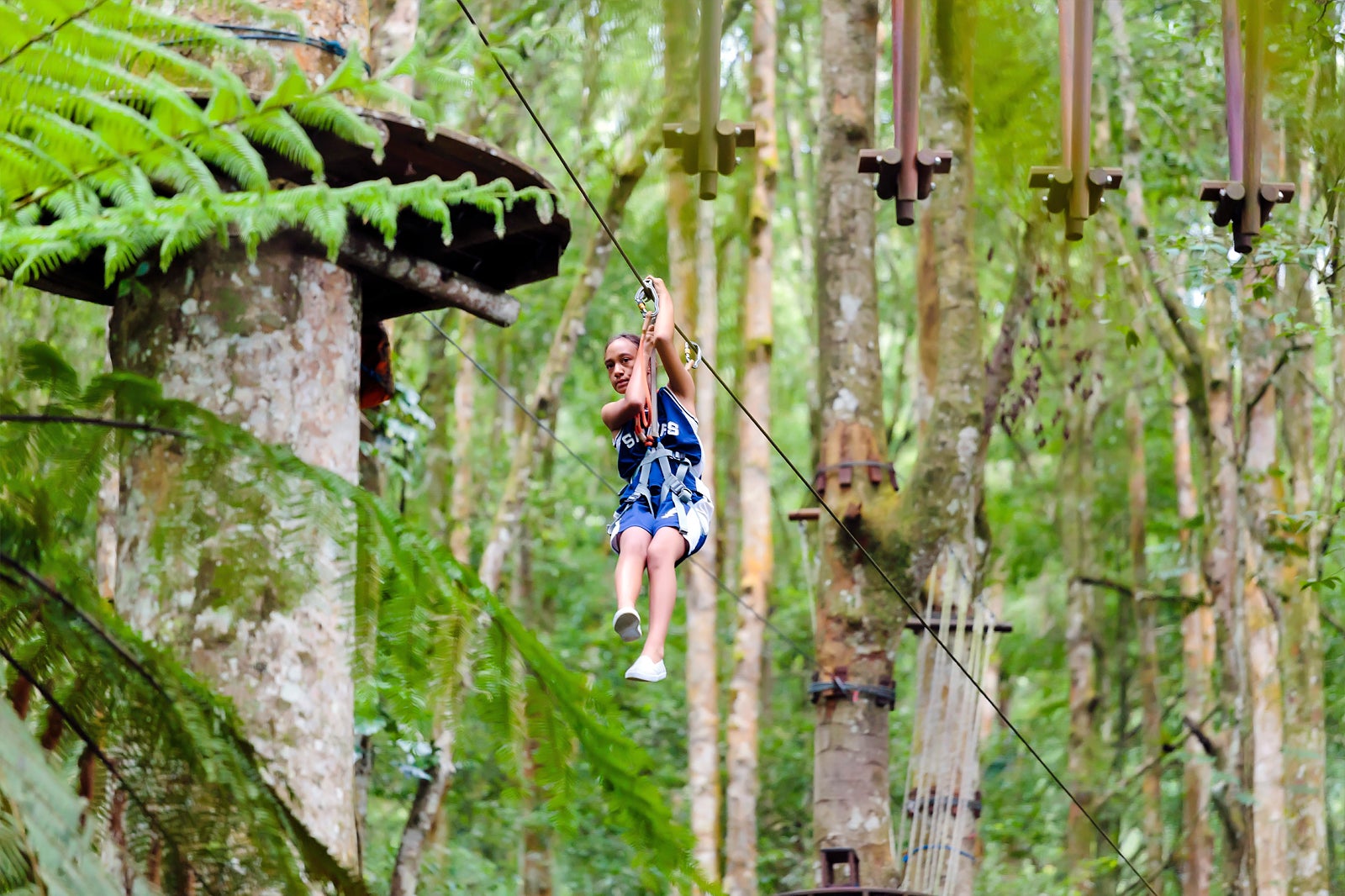 https://mdw-travel-data-us-east-1.s3.amazonaws.com/img/country/Indonesia/Bali-Treetop-Adventure-Park/img_01.jpg