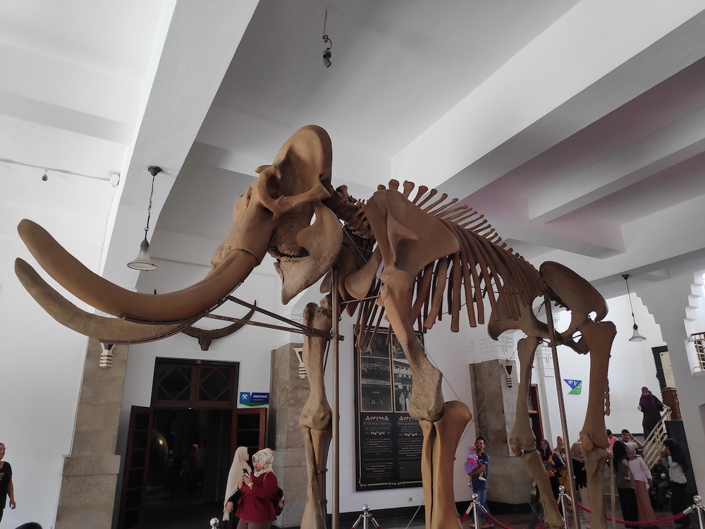 https://mdw-travel-data-us-east-1.s3.amazonaws.com/img/country/Indonesia/Bandung-Geological-Museum/img_02.jpg