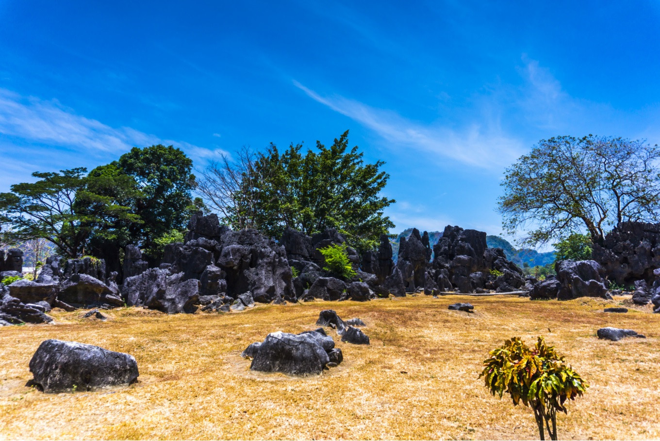 https://mdw-travel-data-us-east-1.s3.amazonaws.com/img/country/Indonesia/Bantimurung-Bulusaraung-National-Park/img_02.jpg