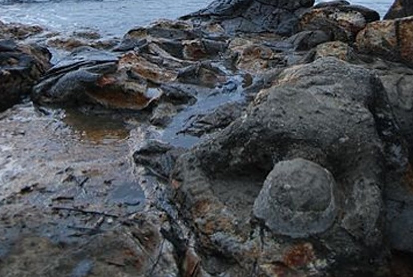https://mdw-travel-data-us-east-1.s3.amazonaws.com/img/country/Indonesia/Batu-Malin-Kundang/img_03.jpg