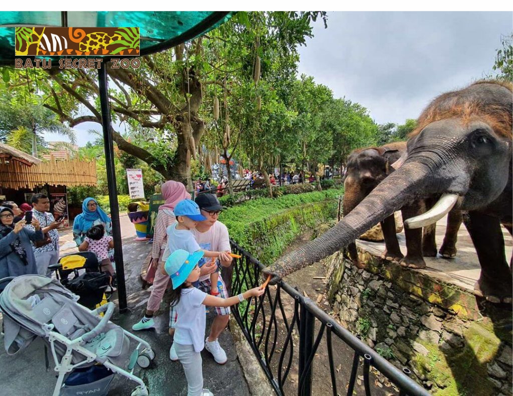 https://mdw-travel-data-us-east-1.s3.amazonaws.com/img/country/Indonesia/Batu-Secret-Zoo/img_00.jpg