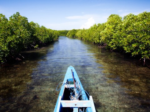 https://mdw-travel-data-us-east-1.s3.amazonaws.com/img/country/Indonesia/Berungin-Mangrove-Conservation/img_03.jpg