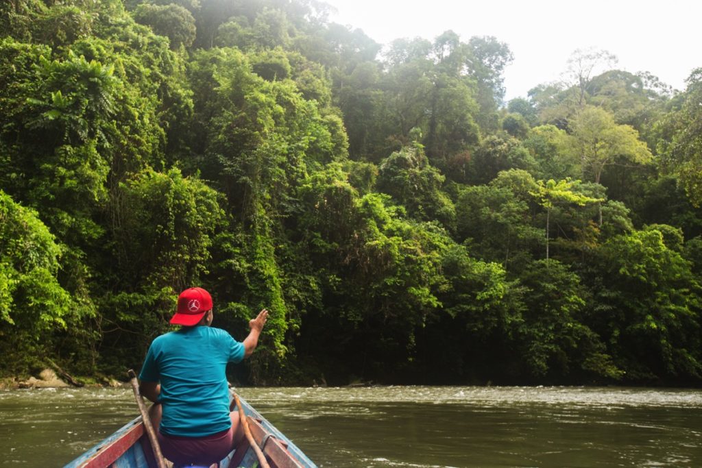 https://mdw-travel-data-us-east-1.s3.amazonaws.com/img/country/Indonesia/Betung-Kerihun-National-Park/img_02.jpg