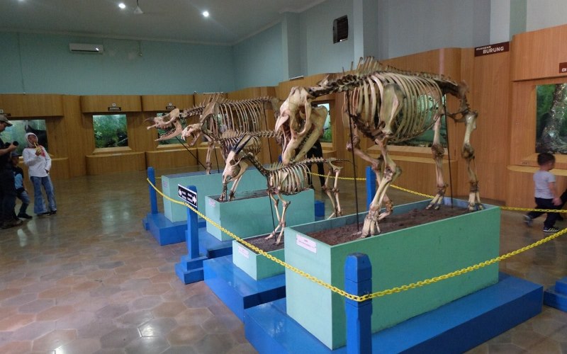 https://mdw-travel-data-us-east-1.s3.amazonaws.com/img/country/Indonesia/Bogor-Museum-of-Ethnobotany/img_01.jpg