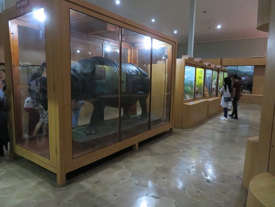https://mdw-travel-data-us-east-1.s3.amazonaws.com/img/country/Indonesia/Bogor-Museum-of-Ethnobotany/img_03.jpg