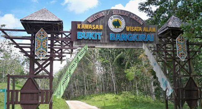 https://mdw-travel-data-us-east-1.s3.amazonaws.com/img/country/Indonesia/Bukit-Bangkirai/img_02.jpg