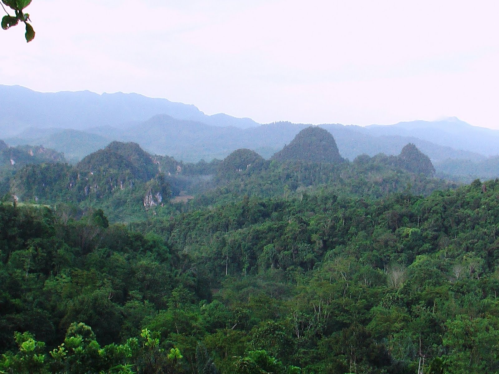 https://mdw-travel-data-us-east-1.s3.amazonaws.com/img/country/Indonesia/Bukit-Barisan-Selatan-National-Park/img_01.jpg