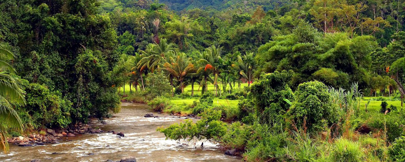 https://mdw-travel-data-us-east-1.s3.amazonaws.com/img/country/Indonesia/Bukit-Barisan-Selatan-National-Park/img_02.jpg
