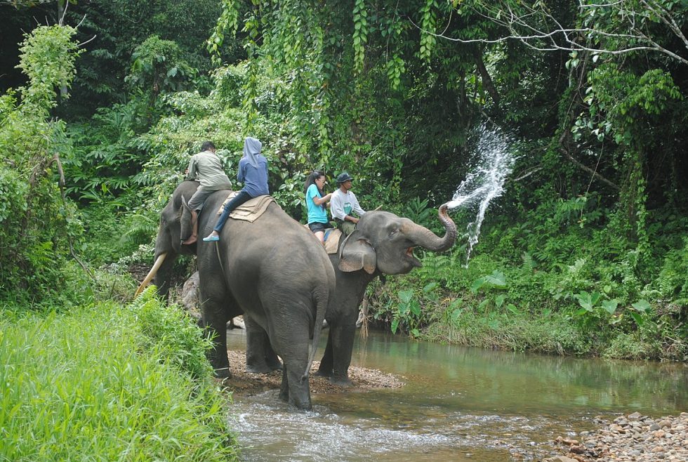 https://mdw-travel-data-us-east-1.s3.amazonaws.com/img/country/Indonesia/Bukit-Barisan-Selatan-National-Park/img_03.jpg