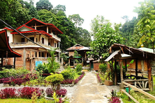https://mdw-travel-data-us-east-1.s3.amazonaws.com/img/country/Indonesia/Bukit-Lawang/img_01.jpg