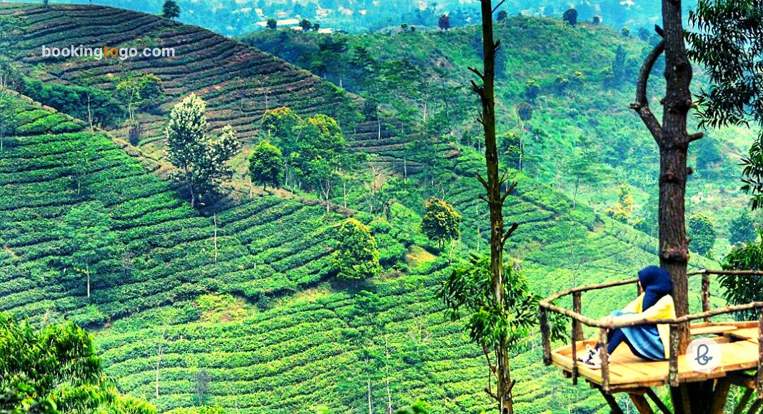https://mdw-travel-data-us-east-1.s3.amazonaws.com/img/country/Indonesia/Bukit-Senyum/img_01.jpg