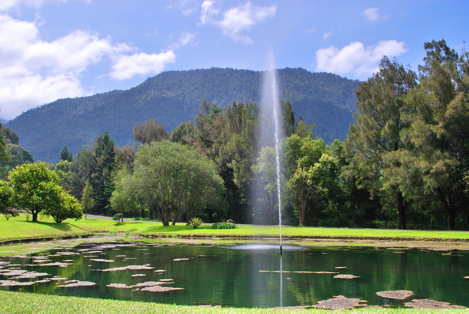 https://mdw-travel-data-us-east-1.s3.amazonaws.com/img/country/Indonesia/Cibodas-Botanical-Gardens/img_01.jpg