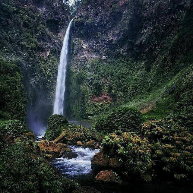 https://mdw-travel-data-us-east-1.s3.amazonaws.com/img/country/Indonesia/Coban-Rais-Waterfall/img_02.jpg