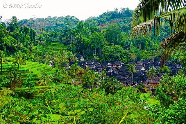 https://mdw-travel-data-us-east-1.s3.amazonaws.com/img/country/Indonesia/Dragon-Village/img_01.jpg