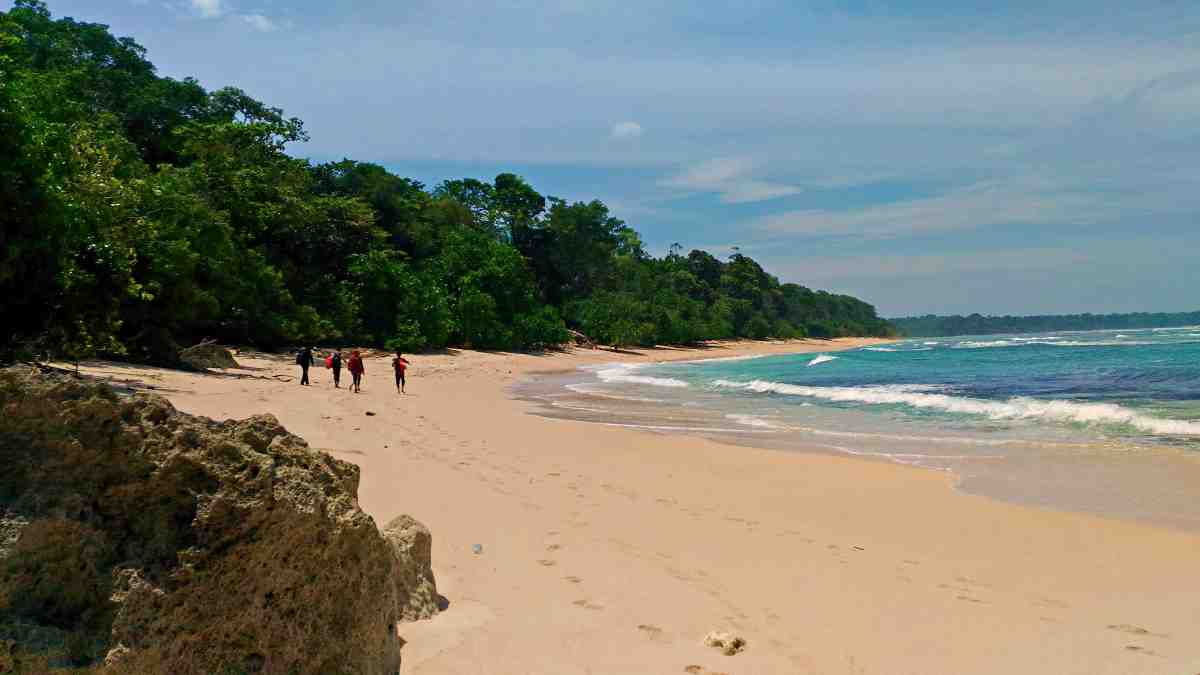 https://mdw-travel-data-us-east-1.s3.amazonaws.com/img/country/Indonesia/G-Land-Plengkung-Beach/img_00.jpg